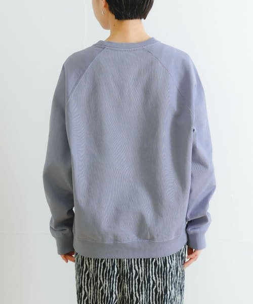 URBAN RESEARCH(アーバンリサーチ)/ndx　Raglan Sweat2 EX/img03