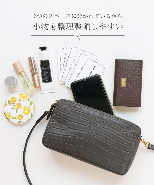 ナイルクロコダイルマット加工ミニショルダーバッグ 本革 なし