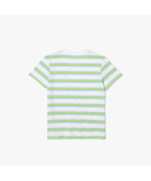 LACOSTE KIDS(ラコステ　キッズ)/BOYS ボーダーTシャツ/img03