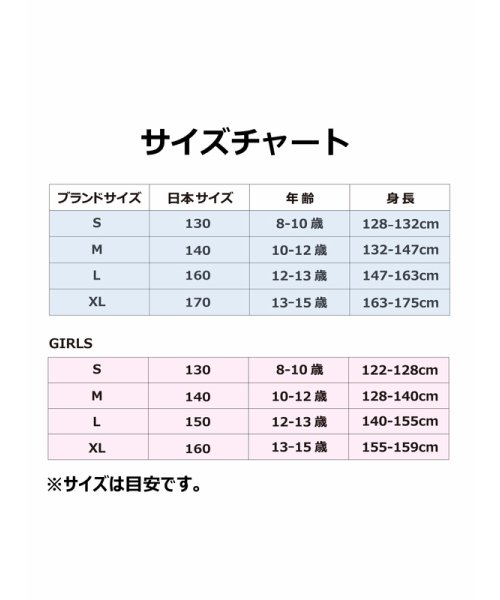 Jordan(ジョーダン)/ジュニア(140－170cm) ショートパンツ JORDAN(ジョーダン) JDN AIR DIAMOND SHORT/img01