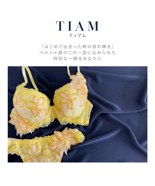 Mon cher pigeon*(モンシェルピジョン)/【自然な丸胸をメイク TIAM/ティアム】 ブラジャー 単品 下着 B－F アンダー80 大きいサイズ /img01