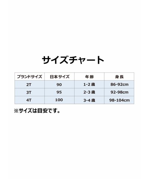NIKE(ナイキ)/トドラー(90－100cm) Tシャツ NIKE(ナイキ) NEW WAVE AOP/img01
