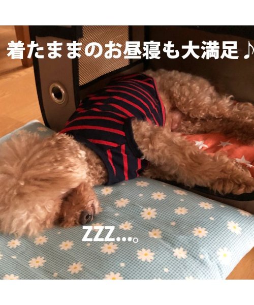 HAPPY DOG!!(はっぴーDOG！！)/ 犬 服 犬服 犬の服 DOG BABY ドッグベビー タンクトップ ボーダー ラグビー ドッグウェア 【春 夏 春夏 毛抜け防止 毛落ち防止 おしゃれ 可愛い/img11