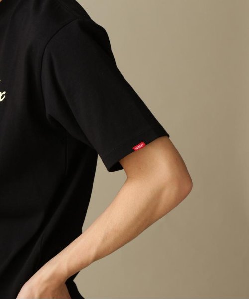 AVIREX(AVIREX)/《WEB&DEPOT限定》COCKTAIL LOGO PIN－UP SHORT SLEEVE T/Tシャツ/img07