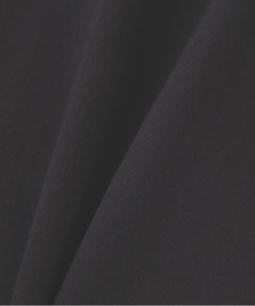 AVIREX(AVIREX)/《WEB&DEPOT限定》COCKTAIL LOGO PIN－UP SHORT SLEEVE T/Tシャツ/img15