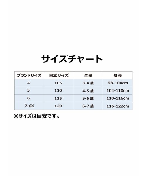 NIKE(NIKE)/キッズ(105－120cm) アウター NIKE(ナイキ) CHEVRON WINDRUNNER JKT/img01