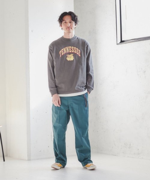 coen(coen)/Dickies（ディッキーズ）別注ツイルワークチノパンツ/img30