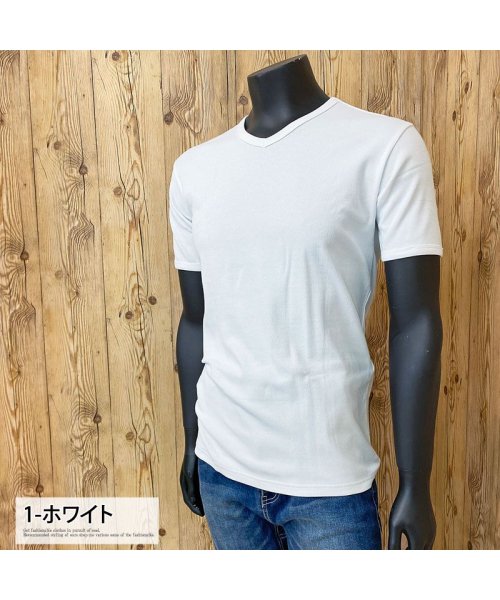 TopIsm(トップイズム)/AVIREX アビレックス Tシャツ メンズ 半袖 テレコリブ VネックTシャツ 無地 デイリーインナー カットソー/img02