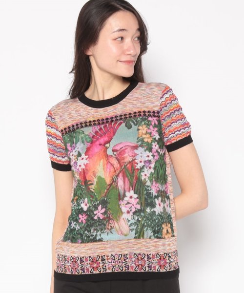 Desigual(デシグアル)/オウム トリコットTシャツ/img05