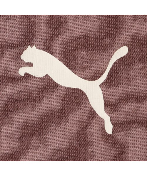 PUMA(PUMA)/メンズ PUMA TEAM グラフィック Tシャツ/img49