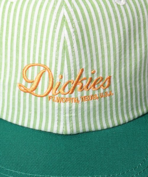 Dickies(Dickies)/Dickies STRIPE BB CAP/img13