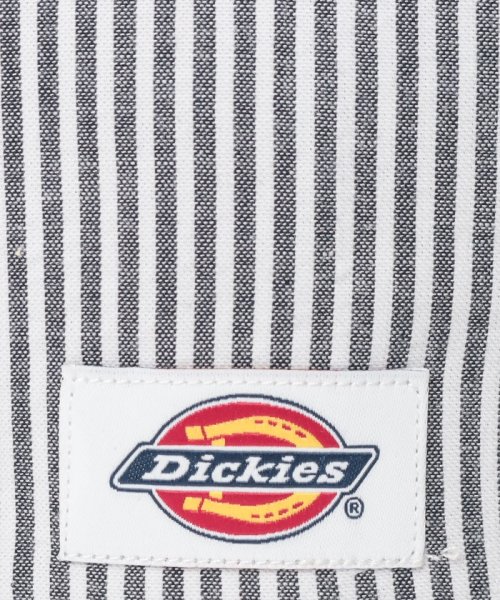 Dickies(Dickies)/Dickies STRIPE BB CAP/img17