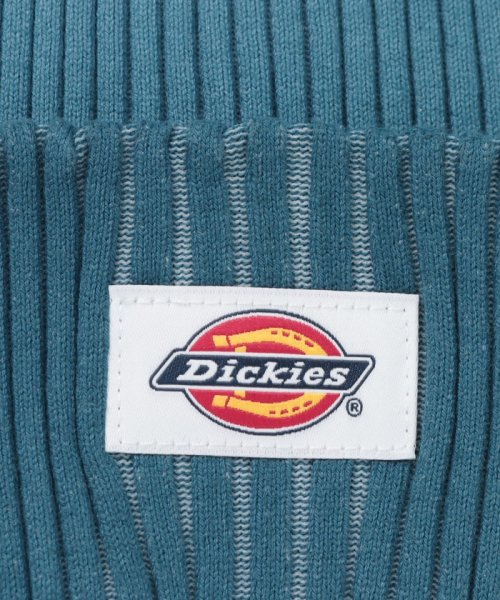 Dickies(Dickies)/Dickies Gradation COTTON KNIT WACH/img12