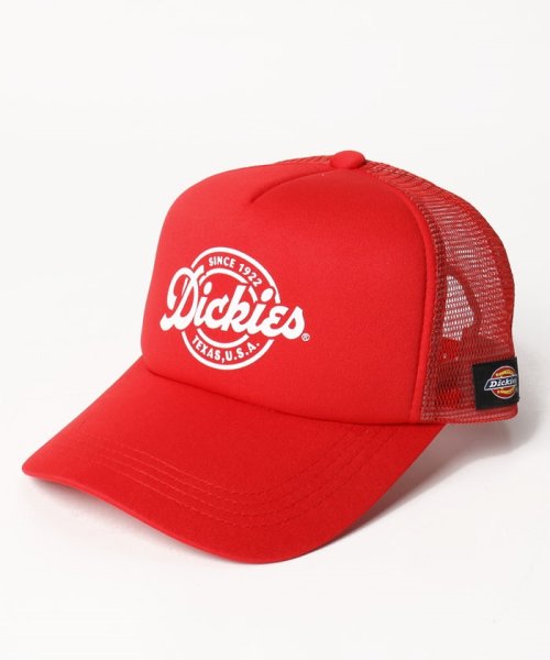 Dickies(Dickies)/Dickies Urethane mesh CAP C type/img10