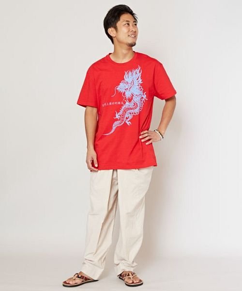 CAYHANE(チャイハネ)/【チャイハネ】レボユーメンズTシャツ CAA－3112/img07