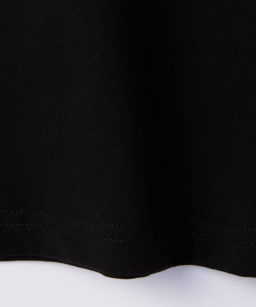 Carhartt(カーハート)/カーハート Carhartt I026391 Tシャツ メンズ トップス 半袖 ショートスリーブ チェイス カジュアル クルーネック S/S CHASE T－S/img06