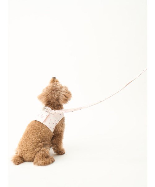 GELATO PIQUE CAT＆DOG(GELATO PIQUE CAT＆DOG)/【CAT&DOG】【販路限定商品】モチーフ柄リード/img03