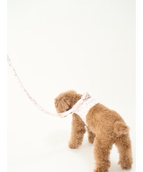 GELATO PIQUE CAT＆DOG(GELATO PIQUE CAT＆DOG)/【CAT&DOG】【販路限定商品】モチーフ柄リード/img04