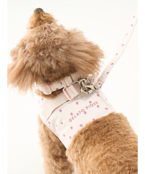 GELATO PIQUE CAT＆DOG(GELATO PIQUE CAT＆DOG)/【CAT&DOG】【販路限定商品】モチーフ柄リード/img05