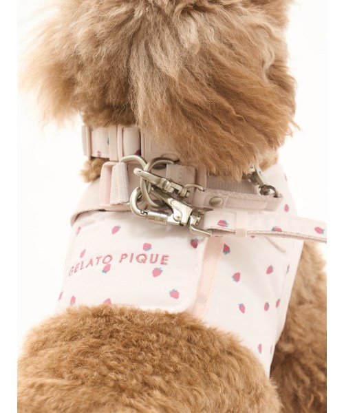 GELATO PIQUE CAT＆DOG(GELATO PIQUE CAT＆DOG)/【CAT&DOG】【販路限定商品】モチーフ柄リード/img06