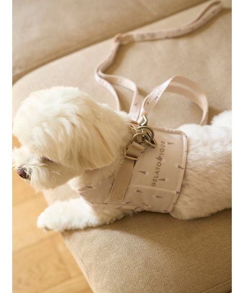 GELATO PIQUE CAT＆DOG(GELATO PIQUE CAT＆DOG)/【CAT&DOG】【販路限定商品】モチーフ柄リード/img14