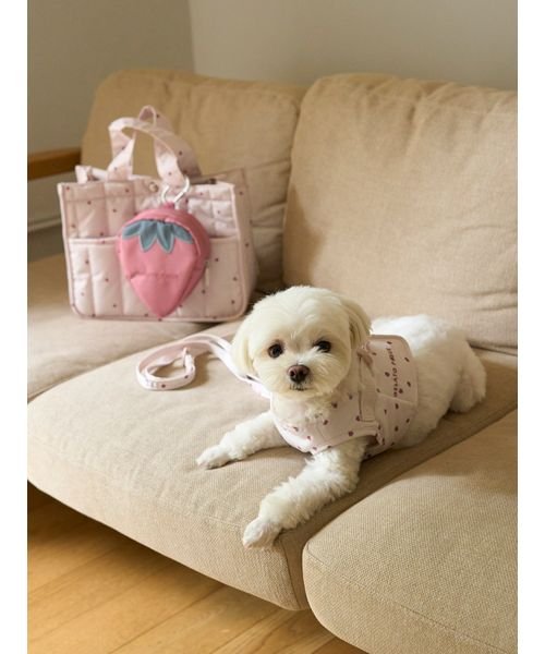 GELATO PIQUE CAT＆DOG(GELATO PIQUE CAT＆DOG)/【CAT&DOG】【販路限定商品】モチーフ柄ハーネス/img25