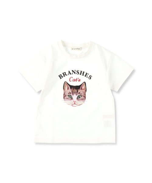 BRANSHES(ブランシェス)/【Cat's ISSUE】ネコプリント半袖Tシャツ（こども）/img01