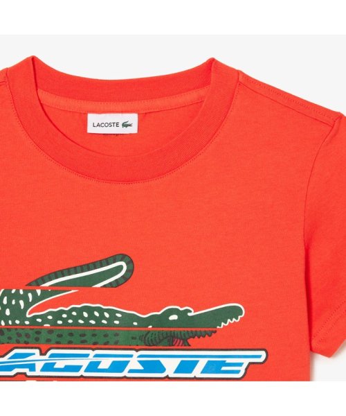 LACOSTE KIDS(ラコステ　キッズ)/BOYS アレンジグラフィックプリントクルーネックTシャツ/img06