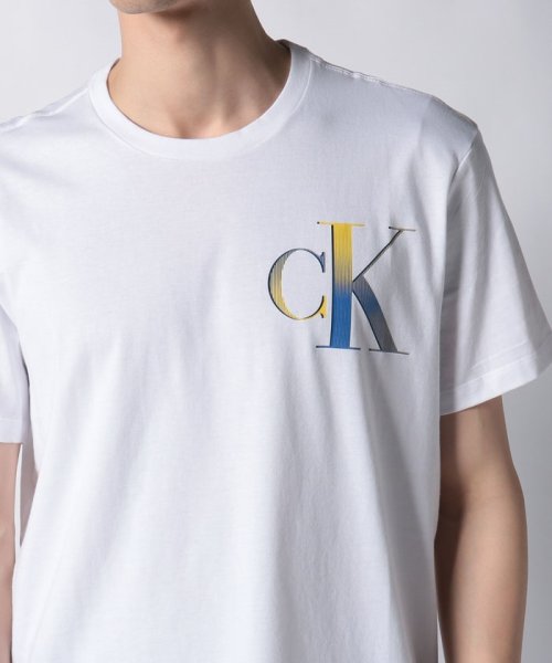 Calvin Klein(カルバンクライン)/【CALVIN KLEIN / カルバンクライン】ロゴ プリントT Tシャツ 半袖 40IC841 父の日 ギフト プレゼント 贈り物/img09