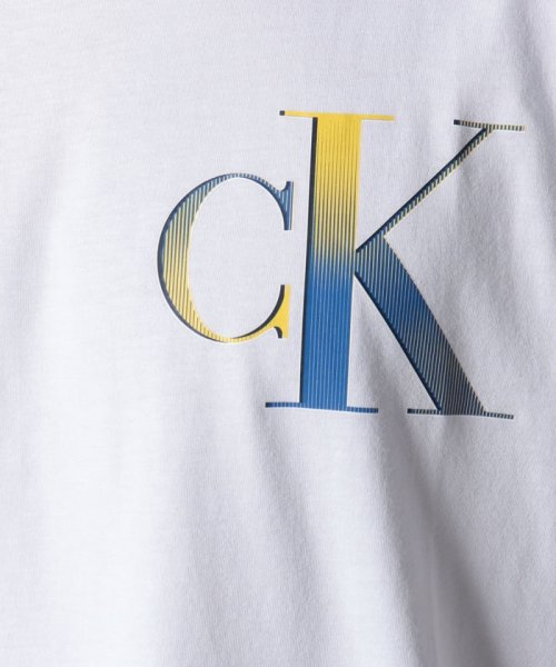 Calvin Klein(カルバンクライン)/【CALVIN KLEIN / カルバンクライン】ロゴ プリントT Tシャツ 半袖 40IC841 父の日 ギフト プレゼント 贈り物/img10