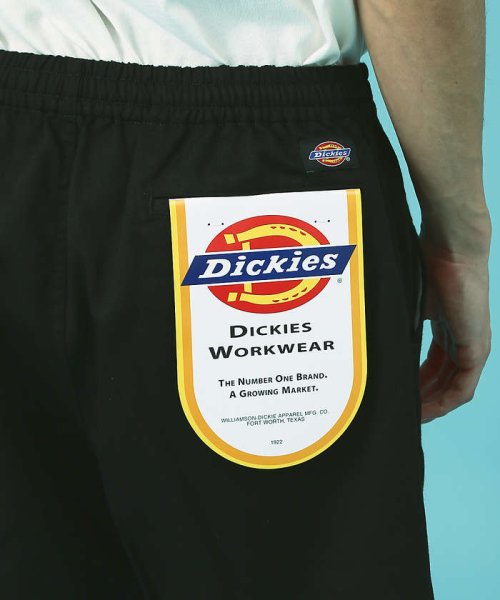 ABAHOUSE(ABAHOUSE)/Dickies/ディッキーズ　WORK SHORT PANTS チノワークショー/img12