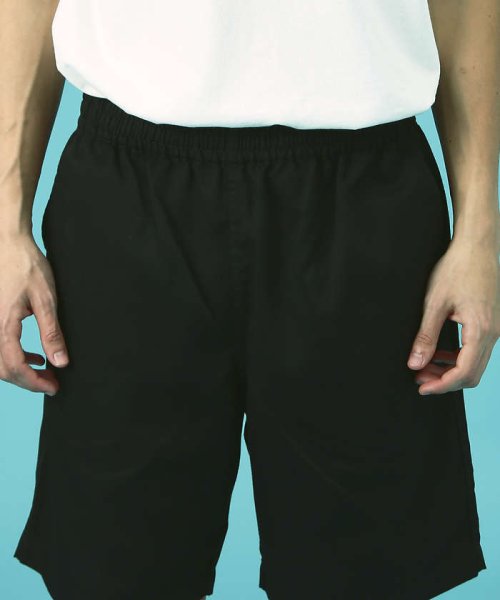 ABAHOUSE(ABAHOUSE)/Dickies/ディッキーズ　WORK SHORT PANTS チノワークショー/img13