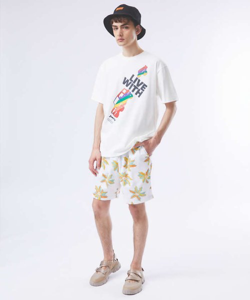 ABAHOUSE(ABAHOUSE)/Dickies/ディッキーズ　WORK SHORT PANTS チノワーク柄ショ/img01