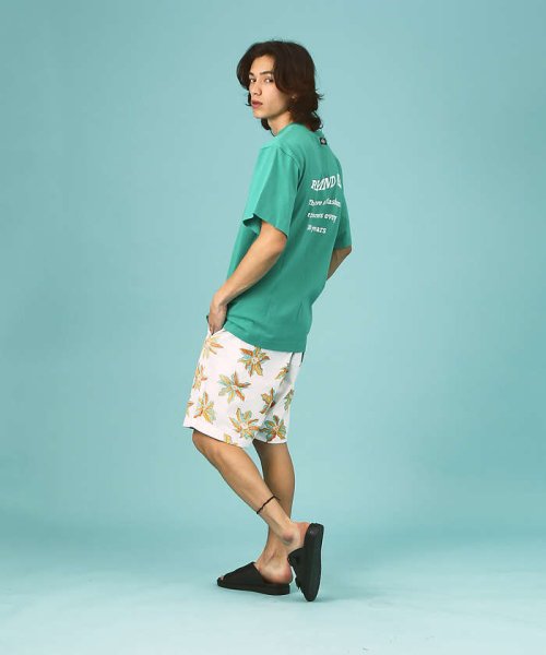 ABAHOUSE(ABAHOUSE)/Dickies/ディッキーズ　WORK SHORT PANTS チノワーク柄ショ/img11