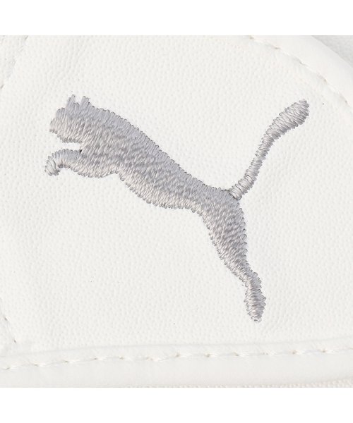 PUMA(PUMA)/メンズ ゴルフ フュージョン グリップ グローブ 2.0/img02