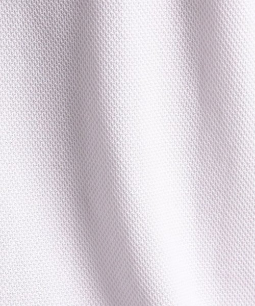 MONSIEUR NICOLE(ムッシュニコル)/ハニカムジャージー ストライプシャツ襟 ポロシャツ/img17