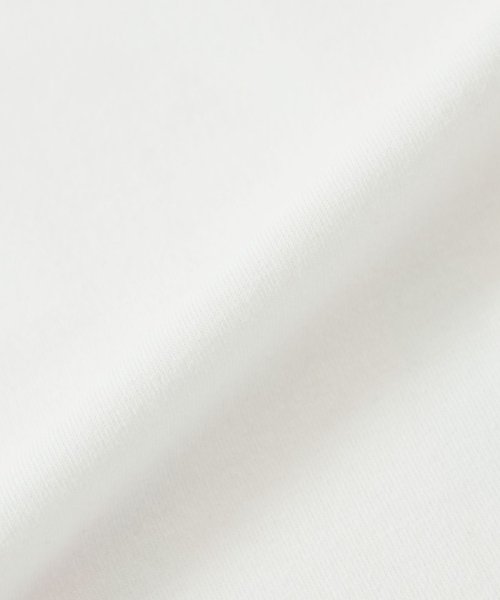 EVEX by KRIZIA(エヴェックスバイクリツィア)/【接触冷感】【ウォッシャブル】グラフィカルビッグタイガープリントTシャツ/img08