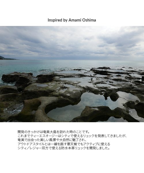 T・S・O・G リュック ビジネスリュック メンズ レディース レザー 本革 撥水 防水 背面ポケット A4 TSOG ティーエスオージー aa22 