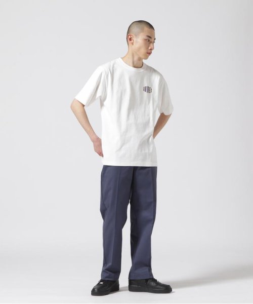 AVIREX(AVIREX)/《WEB&DEPOT限定》ANTIFOULING WORK PANTS EXCLUSIVE COLOR / アンチフォーリング ワークパンツ/img01