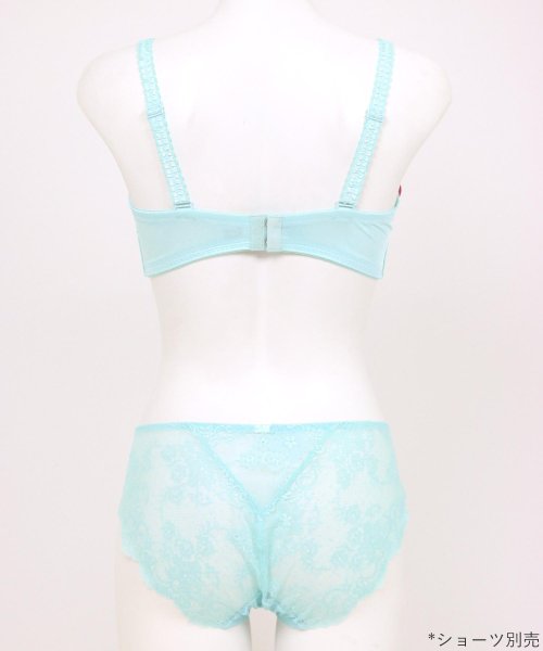 fran de lingerie(フランデランジェリー)/GRACE ist  Rio グレースイストリオ コーディネートブラジャー E65－G85カップ/img26