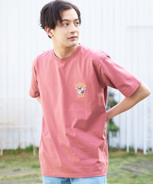 JEANS MATE(ジーンズメイト)/【ZEROSTAIN】着るだけで 汗染み対策 プリントTシャツ 撥水 UVカット /img46