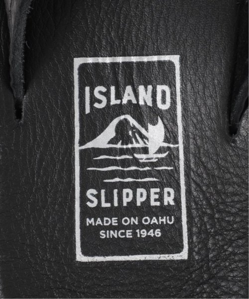 JOURNAL STANDARD(ジャーナルスタンダード)/【SLAND SLIPPER × JOURNAL STANDARD / 別注 PT202 LEATHER COMBI/img05