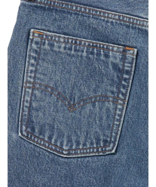 Levi's(リーバイス)/LEVI'S(R) SKATE BAGGY 5ポケット インディゴパターン IN TERROR BLUE RINSE/img13