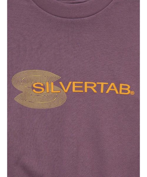Levi's(リーバイス)/SILVERTAB™ グラフィッククルーネックスウェットシャツ パープル BIG ARCTIC DUSK/img08