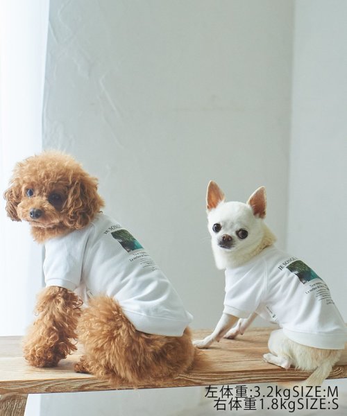 ROPE PICNIC PASSAGE(ロペピクニック パサージュ)/【DOG】リンクコーデ/photo&logo Tシャツ/img19