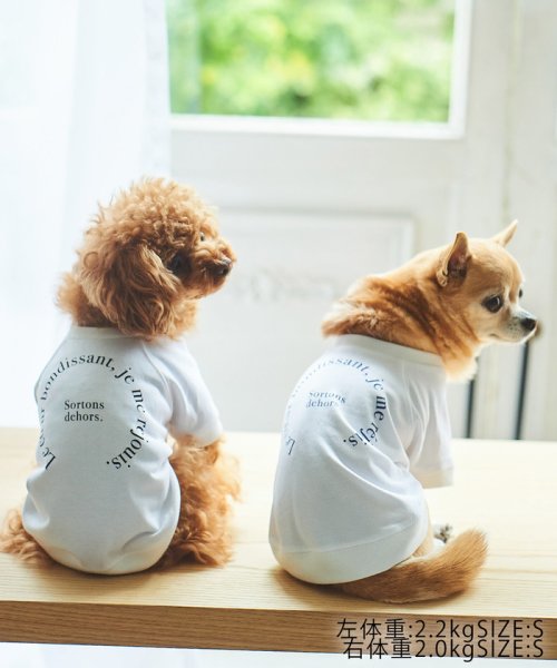 ROPE PICNIC PASSAGE(ロペピクニック パサージュ)/【DOG】リンクコーデ/photo&logo Tシャツ/img20