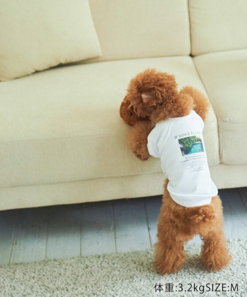 ROPE PICNIC PASSAGE(ロペピクニック パサージュ)/【DOG】リンクコーデ/photo&logo Tシャツ/img23