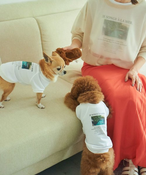 ROPE PICNIC PASSAGE(ロペピクニック パサージュ)/【DOG】リンクコーデ/photo&logo Tシャツ/img28
