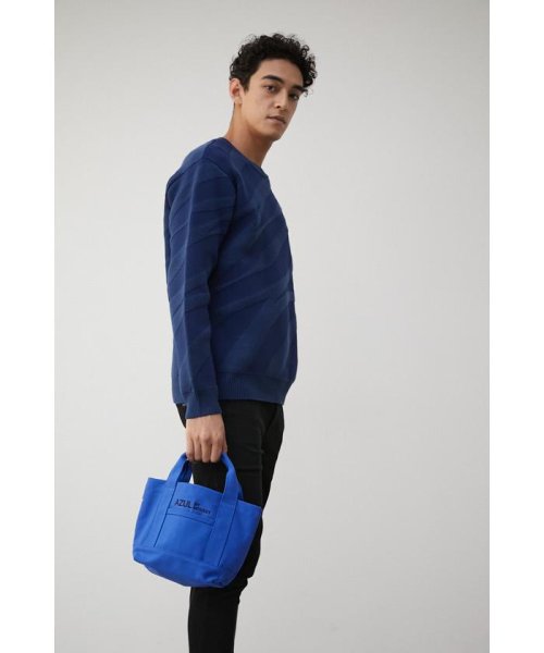 AZUL by moussy(アズールバイマウジー)/AZUL CANVAS PARTITION MINI BAG/img27