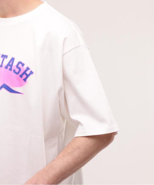 MANASTASH(マナスタッシュ)/MANASTASH/マナスタッシュ/CiTee BRUSH Tシャツ/img11